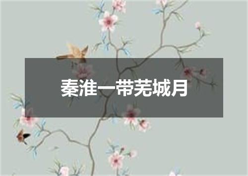 秦淮一带芜城月