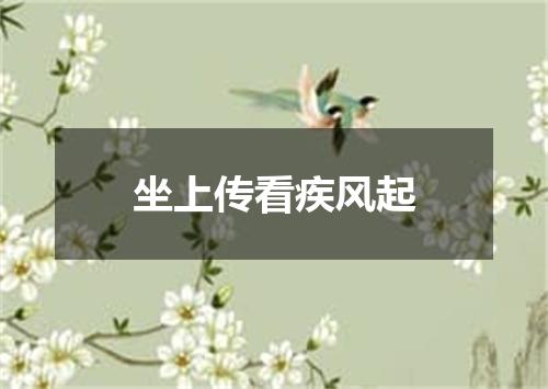 坐上传看疾风起