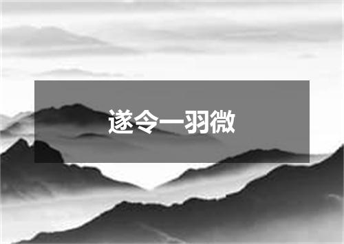 遂令一羽微