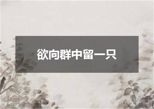 欲向群中留一只