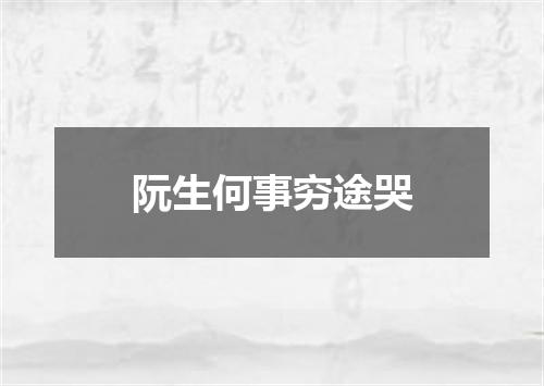 阮生何事穷途哭