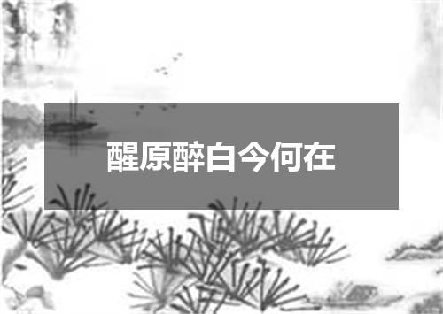 醒原醉白今何在