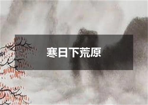 寒日下荒原