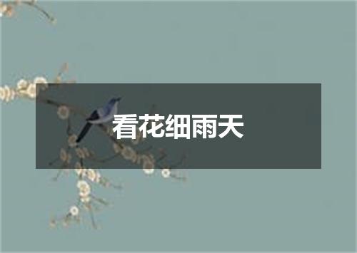 看花细雨天