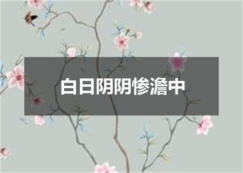 白日阴阴惨澹中