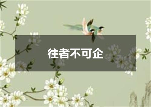 往者不可企