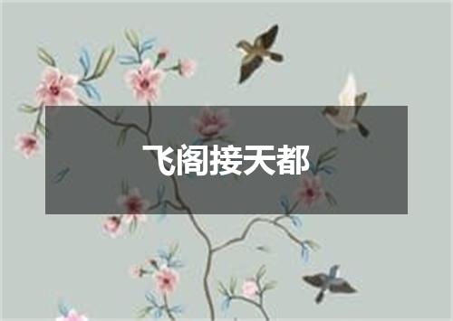 飞阁接天都