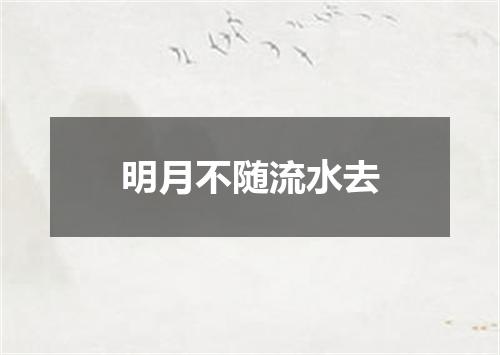 明月不随流水去