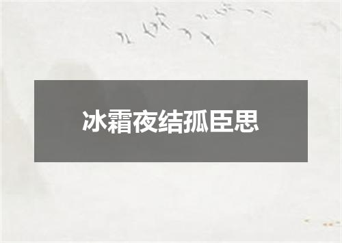 冰霜夜结孤臣思