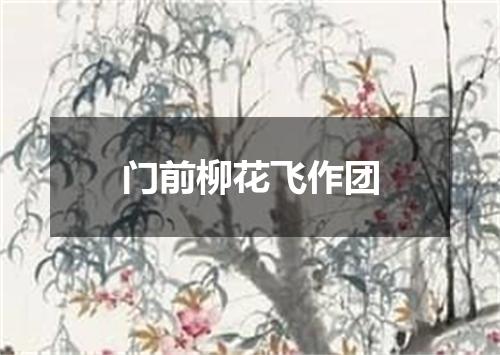 门前柳花飞作团