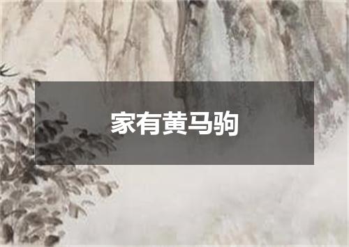 家有黄马驹