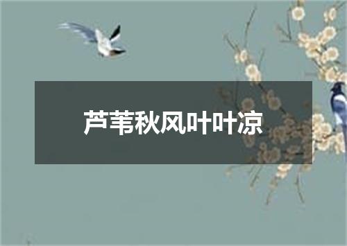 芦苇秋风叶叶凉