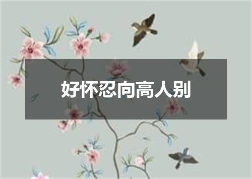 好怀忍向高人别