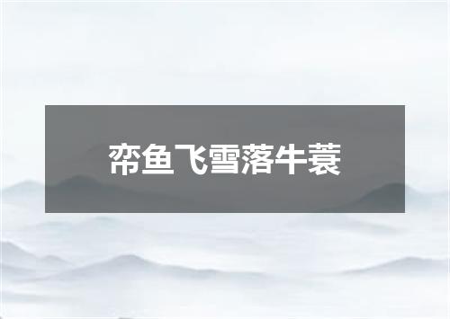 帟鱼飞雪落牛蓑