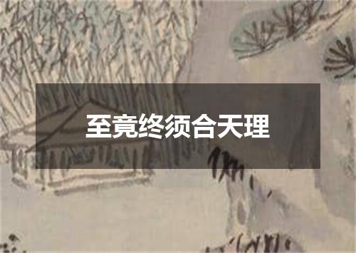 至竟终须合天理