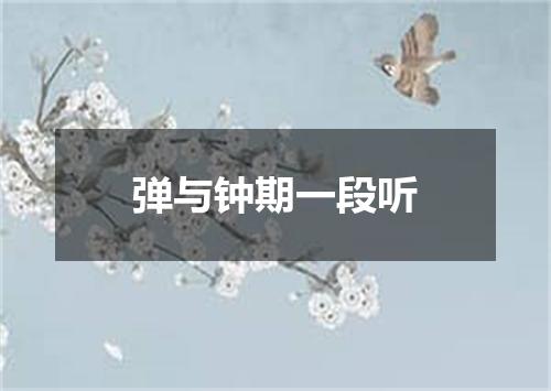 弹与钟期一段听