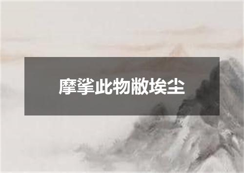 摩挲此物敝埃尘