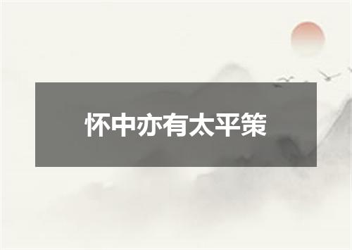 怀中亦有太平策