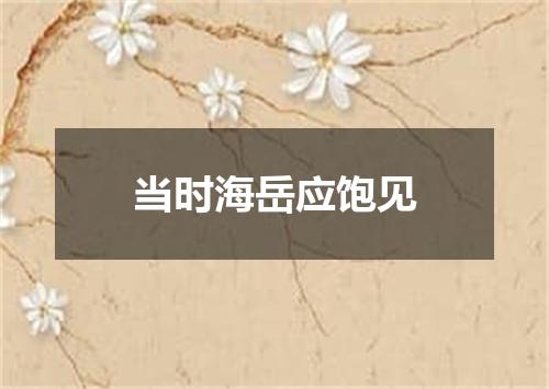 当时海岳应饱见