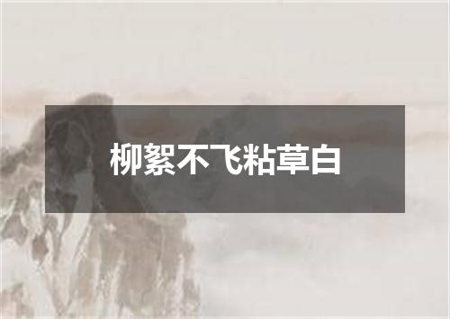 柳絮不飞粘草白