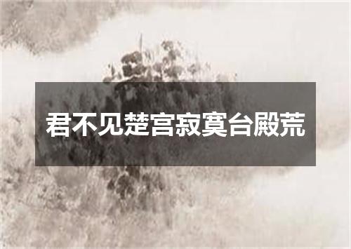 君不见楚宫寂寞台殿荒