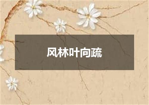 风林叶向疏