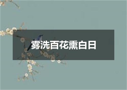 雾洗百花熏白日