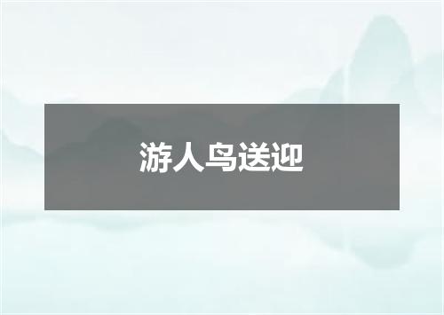 游人鸟送迎