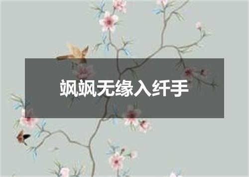飒飒无缘入纤手