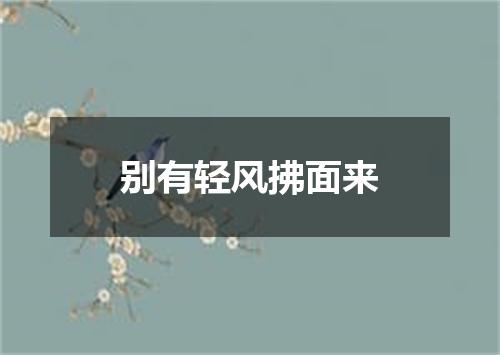 别有轻风拂面来