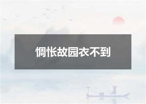 惆怅故园衣不到