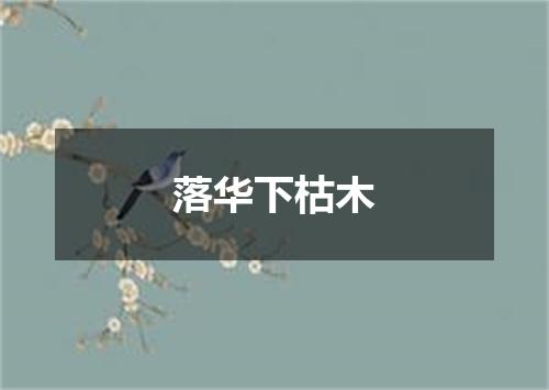落华下枯木