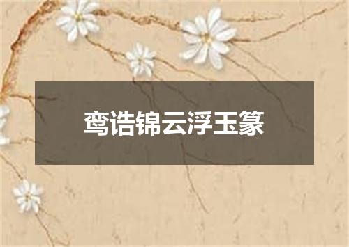 鸾诰锦云浮玉篆