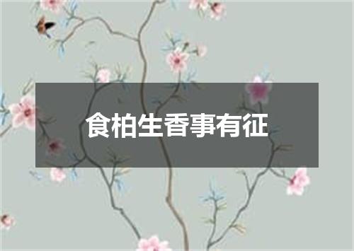 食柏生香事有征