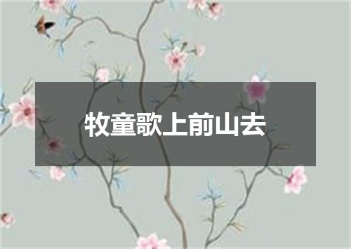 牧童歌上前山去