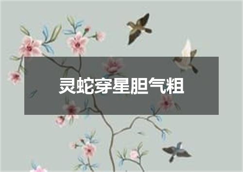 灵蛇穿星胆气粗