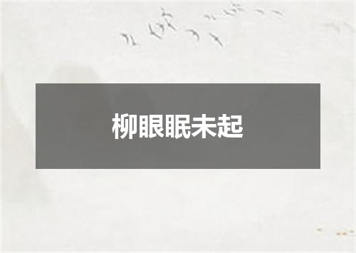 柳眼眠未起
