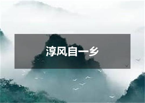 淳风自一乡