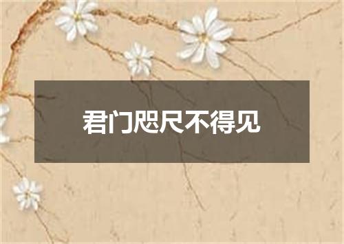 君门咫尺不得见