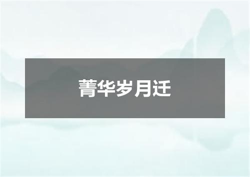 菁华岁月迁