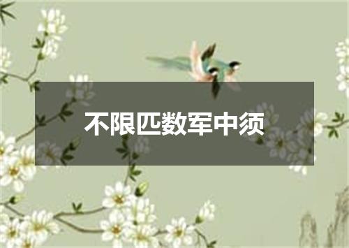 不限匹数军中须