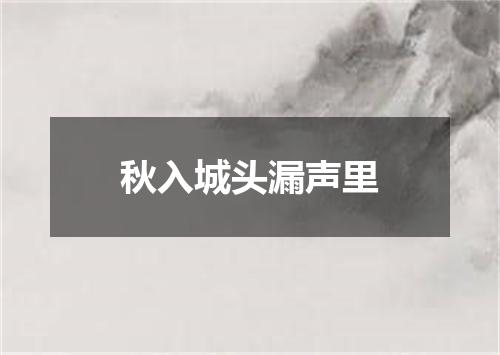 秋入城头漏声里