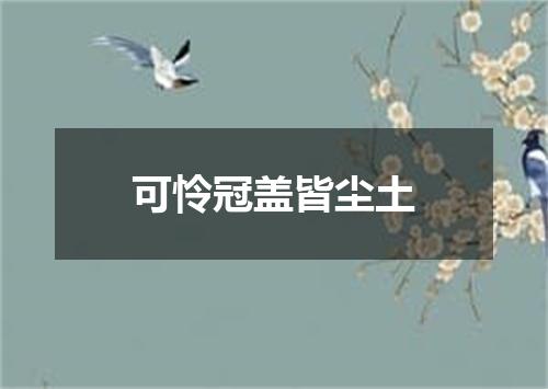 可怜冠盖皆尘土