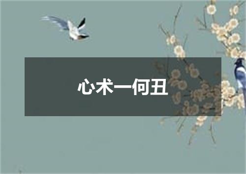 心术一何丑