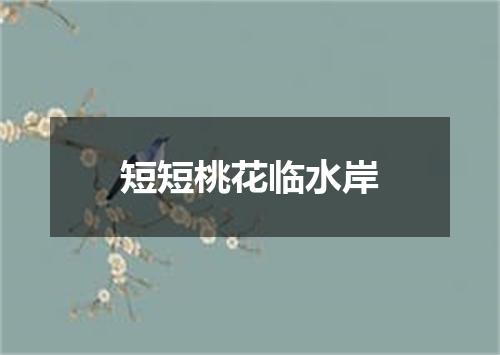 短短桃花临水岸