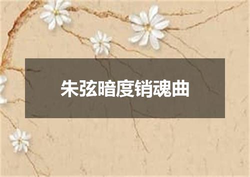 朱弦暗度销魂曲