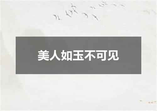 美人如玉不可见