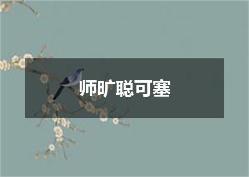 师旷聪可塞