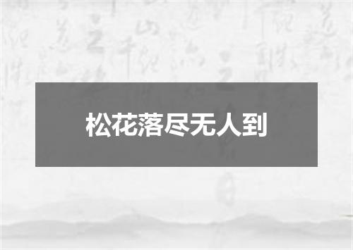 松花落尽无人到