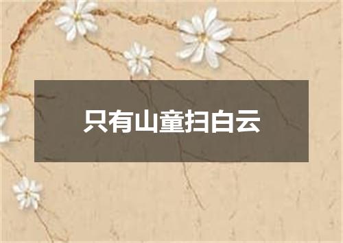 只有山童扫白云